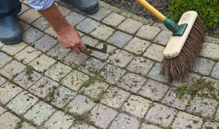 Terrasreiniging: zo kun je tuintegels schoonmaken