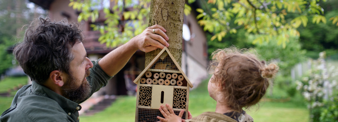 Hoe maak je een insectenhotel?