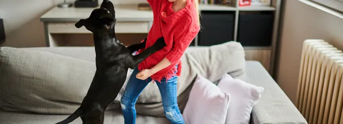 Een nieuwe puppy - checklist voor hondenbenodigdheden