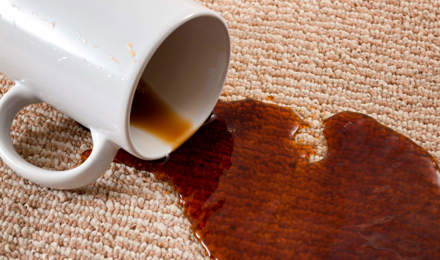 Koffievlekken verwijderen uit tapijt