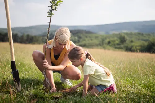 Een vrouw en een jong meisje planten een boom in een open veld.