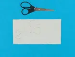 Karton waarop konijnenoren, pootjes, kuikenvleugeltjes en een snaveltje zijn getekend met een schaar ernaast.