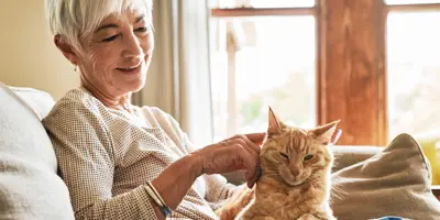 Waarom is mijn kat ziek? Symptomen, oorzaken en oplossingen
