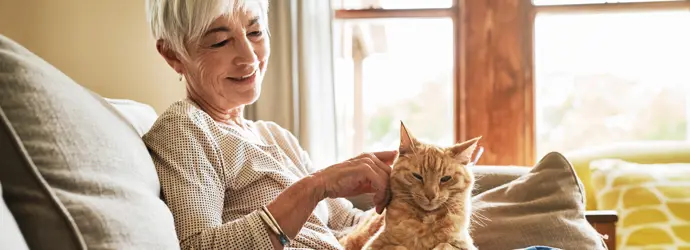 Waarom is mijn kat ziek? Symptomen, oorzaken en oplossingen