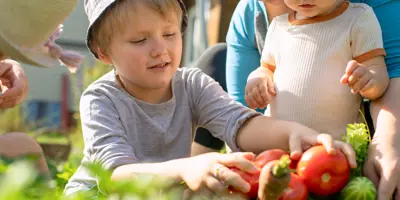 Beginnen met een moestuin: zelf groente kweken van restjes
