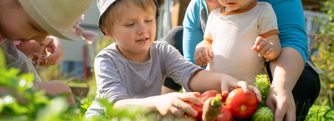 Beginnen met een moestuin: zelf groente kweken van restjes