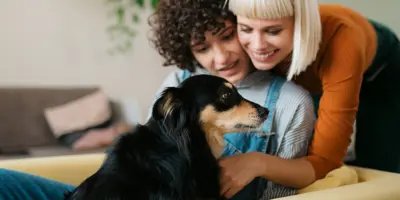 Is mijn hond ziek? Zo kun je een zieke hond herkennen en verzorgen