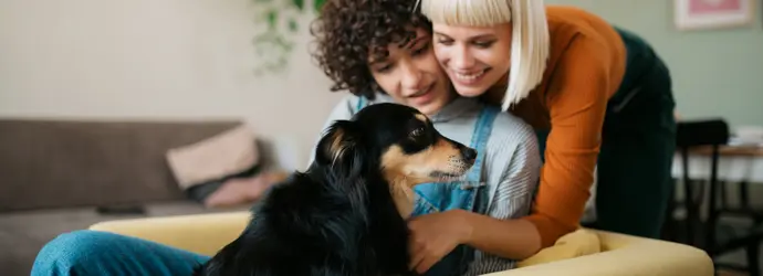 Is mijn hond ziek? Zo kun je een zieke hond herkennen en verzorgen
