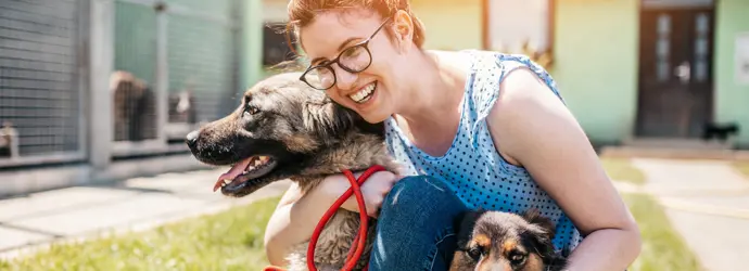Hoe vind je vrijwilligerswerk met dieren?